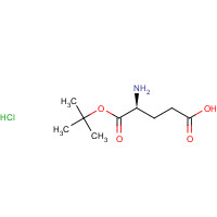 144313-55-3 L-Glutamic acid 1-tert-Butyl ester hydrochloride chemical structure