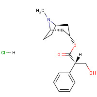 5934-50-9 HYOSCYAMINE HYDROCHLORIDE chemical structure