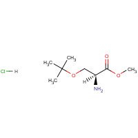 17114-97-5 O-tert-Butyl-L-serine methyl ester hydrochloride chemical structure