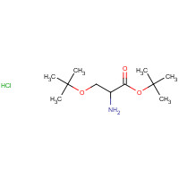 51537-21-4 H-SER(TBU)-OTBU HCL chemical structure