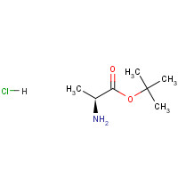 13404-22-3 tert-Butyl L-alaninate hydrochloride chemical structure