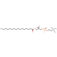 17364-16-8 1-PALMITOYL-SN-GLYCERO-3-PHOSPHOCHOLINE chemical structure