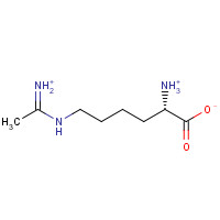 150403-89-7 L-N6-(1-IMINOETHYL)LYSINE DIHYDROCHLORIDE chemical structure