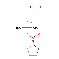5497-76-7 tert-Butyl L-prolinate hydrochloride chemical structure