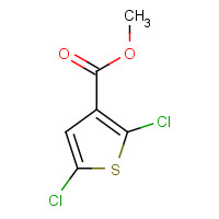 145129-54-0 METHYL 2,5-DICHLOROTHIOPHENE-3-CARBOXYLATE chemical structure