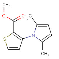 175137-41-4 METHYL 3-(2,5-DIMETHYL-1H-PYRROL-1-YL)-2-THIOPHENECARBOXYLATE chemical structure