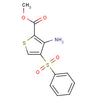 175201-55-5 METHYL 3-AMINO-4-(PHENYLSULFONYL)THIOPHENE-2-CARBOXYLATE chemical structure