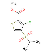 175201-99-7 METHYL 3-CHLORO-4-(ISOPROPYLSULFONYL)THIOPHENE-2-CARBOXYLATE chemical structure