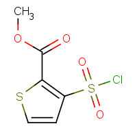 59337-92-7 Methyl 3-chlorosulfonylthiophene-2-carboxylate chemical structure