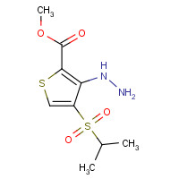 175201-97-5 METHYL 3-HYDRAZINO-4-(ISOPROPYLSULFONYL)THIOPHENE-2-CARBOXYLATE chemical structure
