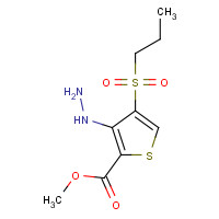 175202-01-4 METHYL 3-HYDRAZINO-4-(PROPYLSULFONYL)THIOPHENE-2-CARBOXYLATE chemical structure
