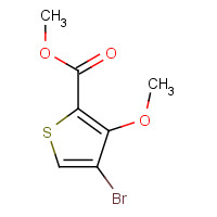 110545-67-0 METHYL 4-BROMO-3-METHOXYTHIOPHENE-2-CARBOXYLATE chemical structure