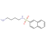 89108-46-3 N-(4-AMINOBUTYL)-2-NAPHTHALENESULFONAMIDE HYDROCHLORIDE chemical structure