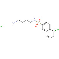 88519-57-7 N-(4-AMINOBUTYL)-5-CHLORO-2-NAPHTHALENESULFONAMIDE HYDROCHLORIDE chemical structure