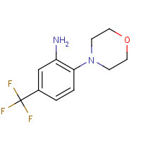 784-57-6 3-AMINO-4-(4-MORPHOLINO)BENZOTRIFLUORIDE chemical structure