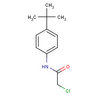20330-46-5 N1-[4-(TERT-BUTYL)PHENYL]-2-CHLOROACETAMIDE chemical structure