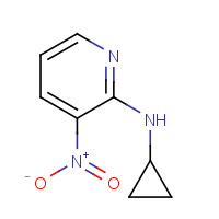 290313-20-1 N2-CYCLOPROPYL-3-NITROPYRIDIN-2-AMINE chemical structure
