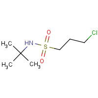 63132-85-4 3-CHLORO-PROPANE-1-SULFONIC ACID TERT-BUTYLAMIDE chemical structure