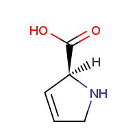 4043-88-3 3,4-Dehydro-L-proline chemical structure