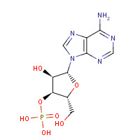 84-21-9 3'-ADENYLIC ACID chemical structure