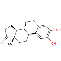 362-06-1 2-HYDROXYESTRONE chemical structure