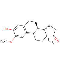 362-08-3 2-METHOXYESTRONE chemical structure