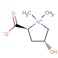 515-25-3 BETONICINE chemical structure