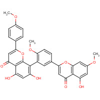 521-34-6 SCIADOPITYSIN chemical structure
