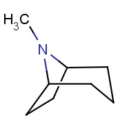 529-17-9 8-METHYL-8-AZABICYCLO[3.2.1]OCTANE chemical structure