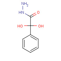 937-39-3 PHENYLACETIC ACID HYDRAZIDE chemical structure