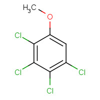 938-86-3 2,3,4,5-TETRACHLOROANISOLE chemical structure