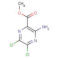 1458-18-0 METHYL 3-AMINO-5,6-DICHLORO-2-PYRAZINECARBOXYLATE chemical structure