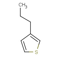 1518-75-8 3-N-PROPYLTHIOPHENE chemical structure