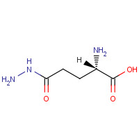 1820-73-1 L-GLUTAMIC ACID GAMMA-HYDRAZIDE chemical structure