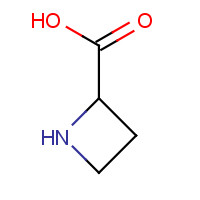 2517-04-6 AZETIDINE-2-CARBOXYLIC ACID chemical structure