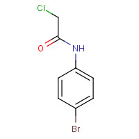 2564-02-5 N-(4-BROMOPHENYL)-2-CHLOROACETAMIDE chemical structure