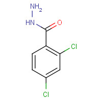 5814-06-2 2,4-DICHLOROBENZHYDRAZIDE chemical structure
