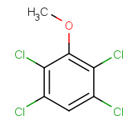 6936-40-9 2,3,5,6-TETRACHLOROANISOLE chemical structure