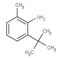 13117-94-7 6-TERT-BUTYL-O-TOLUIDINE chemical structure