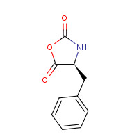 14825-82-2 (S)-(-)-4-BENZYLOXAZOLIDINE-2,5-DIONE chemical structure