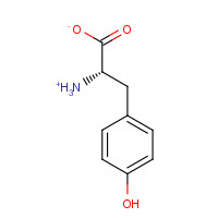 16870-43-2 L-Tyrosine hydrochloride chemical structure