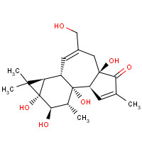 17673-25-5 PHORBOL chemical structure