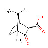 18530-29-5 (-)-CAMPHORCARBOXYLIC ACID chemical structure
