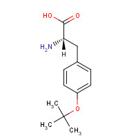 18822-59-8 O-tert-Butyl-L-tyrosine chemical structure