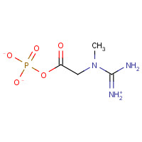 19333-65-4 CREATINE PHOSPHATE DISODIUM SALT HEXAHYDRATE chemical structure