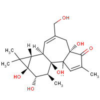 26241-63-4 4ALPHA-PHORBOL chemical structure