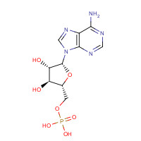 29984-33-6 Vidarabine monophosphate chemical structure