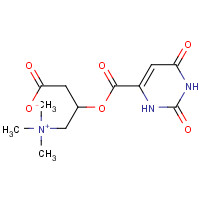 32543-38-7 3-Carboxy-2-hydroxy-N,N,N-trimethyl-1-propanaminium 1,2,3,6-tetrahydro-2,6-dioxo-4-pyrimidinecarboxylic acid salt chemical structure