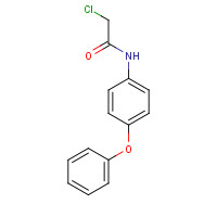 36160-84-6 2-CHLORO-N-(4-PHENOXYPHENYL)ACETAMIDE chemical structure