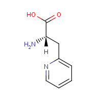 37535-51-6 3-(2-Pyridyl)-L-alanine chemical structure